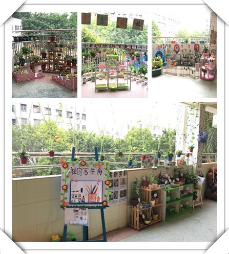 春暖花開(kāi)，綠樹(shù)成蔭——遠(yuǎn)恒佳公明第二幼兒園自然觀察角大比拼