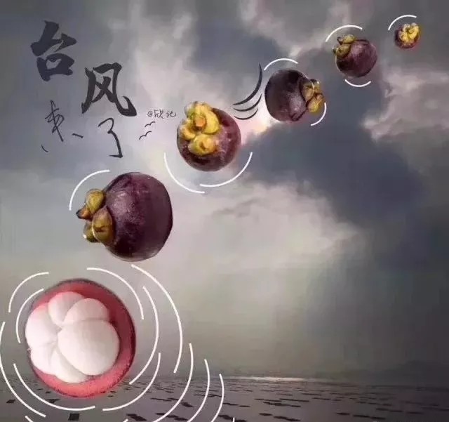 臺(tái)風(fēng)無(wú)情人有情，應(yīng)對(duì)臺(tái)風(fēng)“山竹”，我們團(tuán)結(jié)一心。
