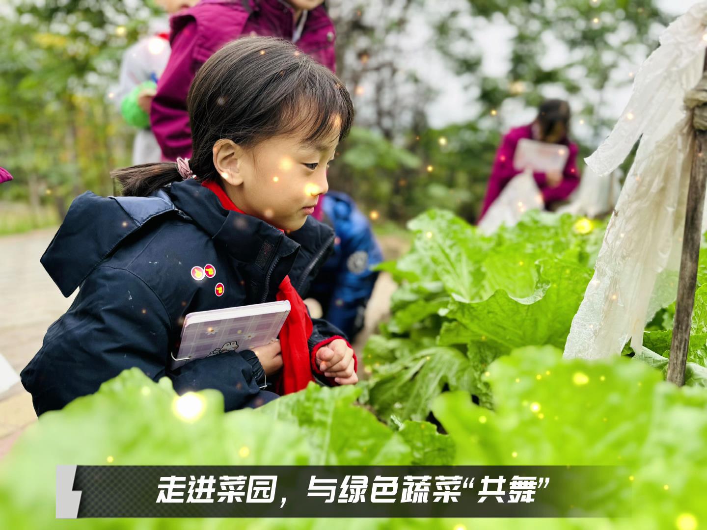 美好學(xué)校|留校時光，走出教室，與綠色蔬菜共舞