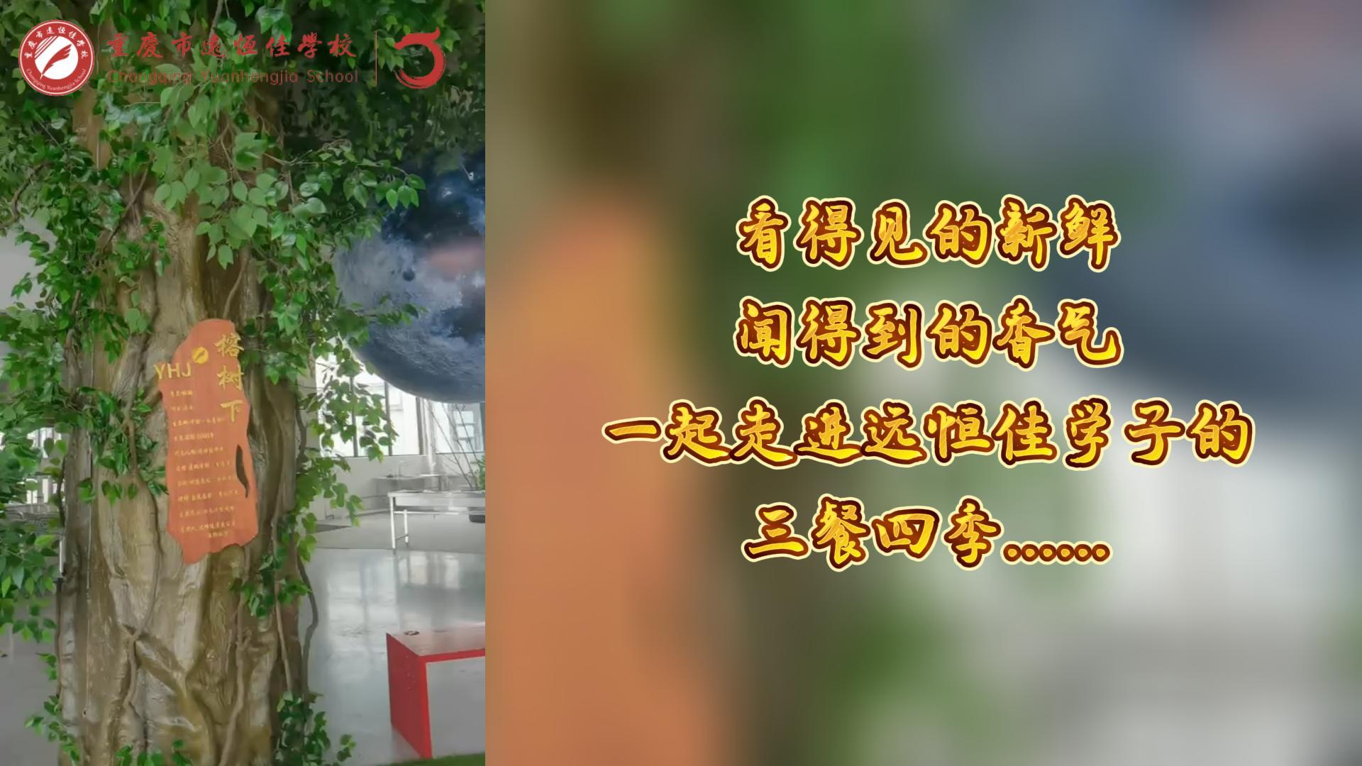 美好學(xué)校|看得見的新鮮，聞得到的香味，一起走進遠恒佳學(xué)子的三餐四季!